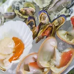 Mara オルトーナ