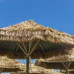 Mara オルトーナ